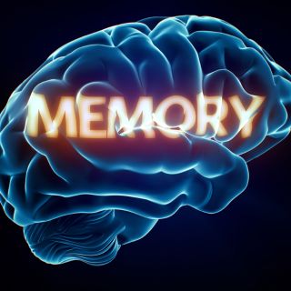 Supporta memoria e funzioni cognitive